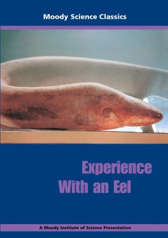 Experience with an Eel DVD (H423)