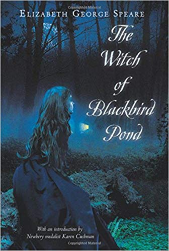 Witch of the Blackbird Pond (N211)